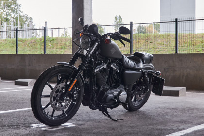 Продажа Harley-Davidson Sportster 883 2021 Зеленый в Автодом