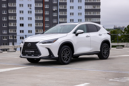 Продажа Lexus NX II 250 2.5 AT (201 л.с.) 2023 Белый в Автодом