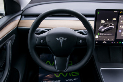 Продажа Tesla Model Y I Long Range 0.0 AT (345 л.с.) 2023 Серый в Автодом