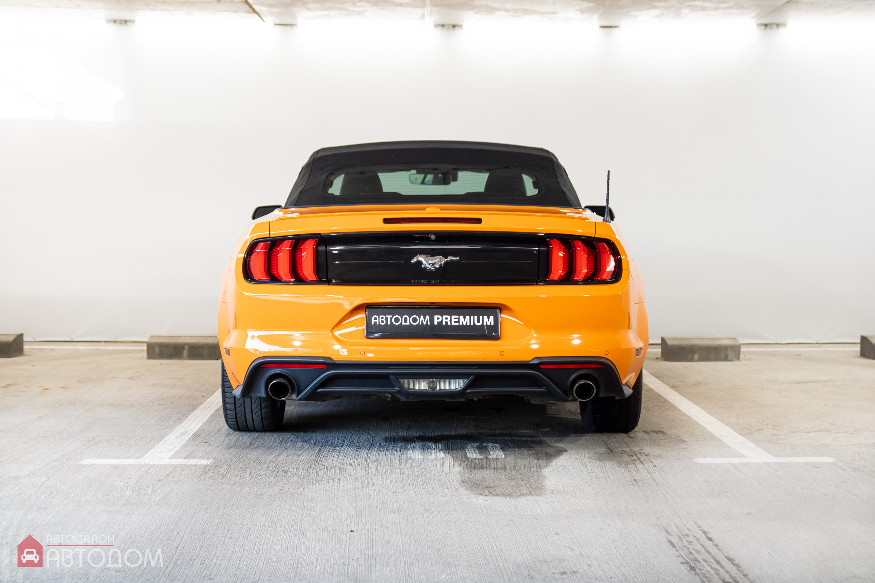  Mustang