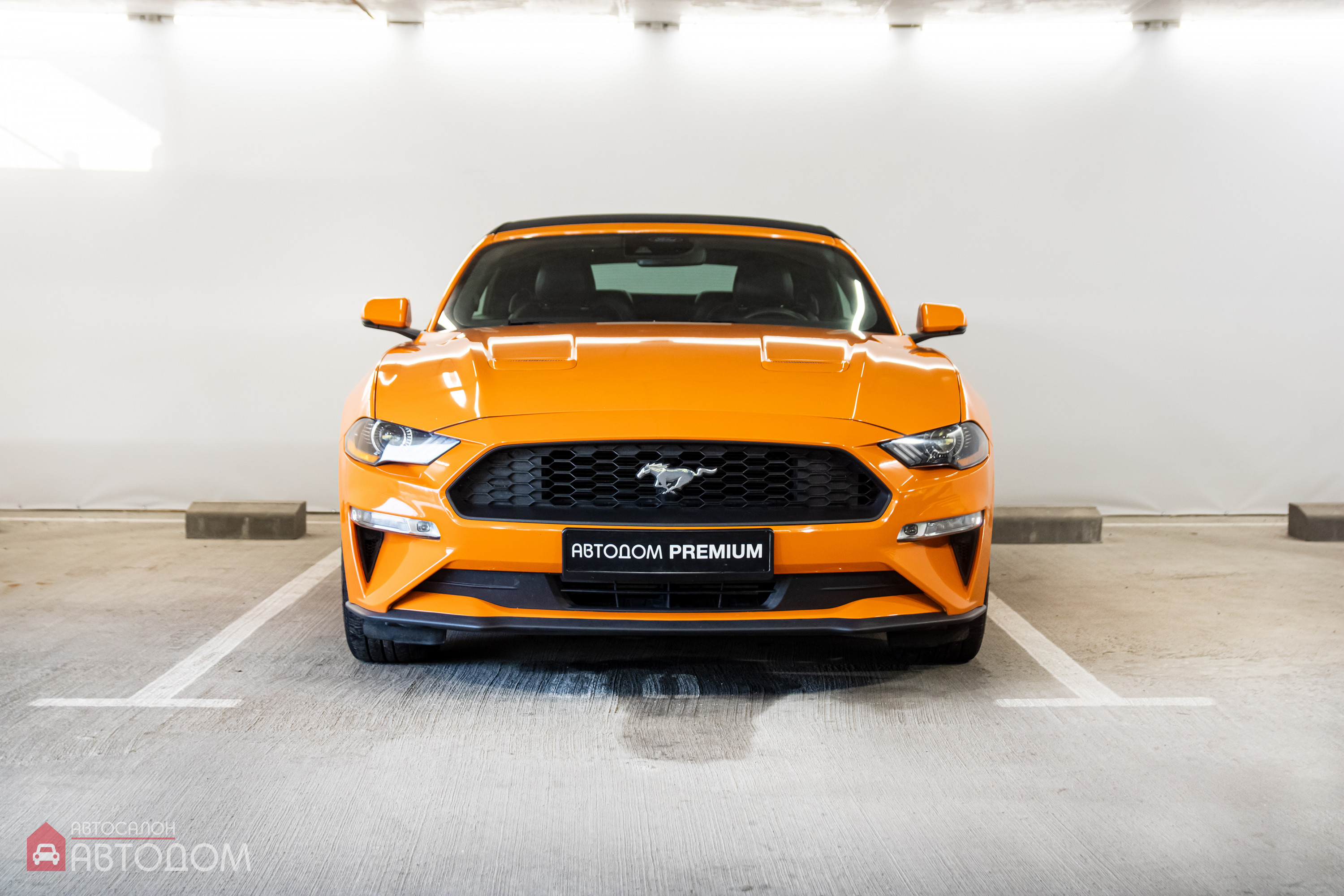  Mustang