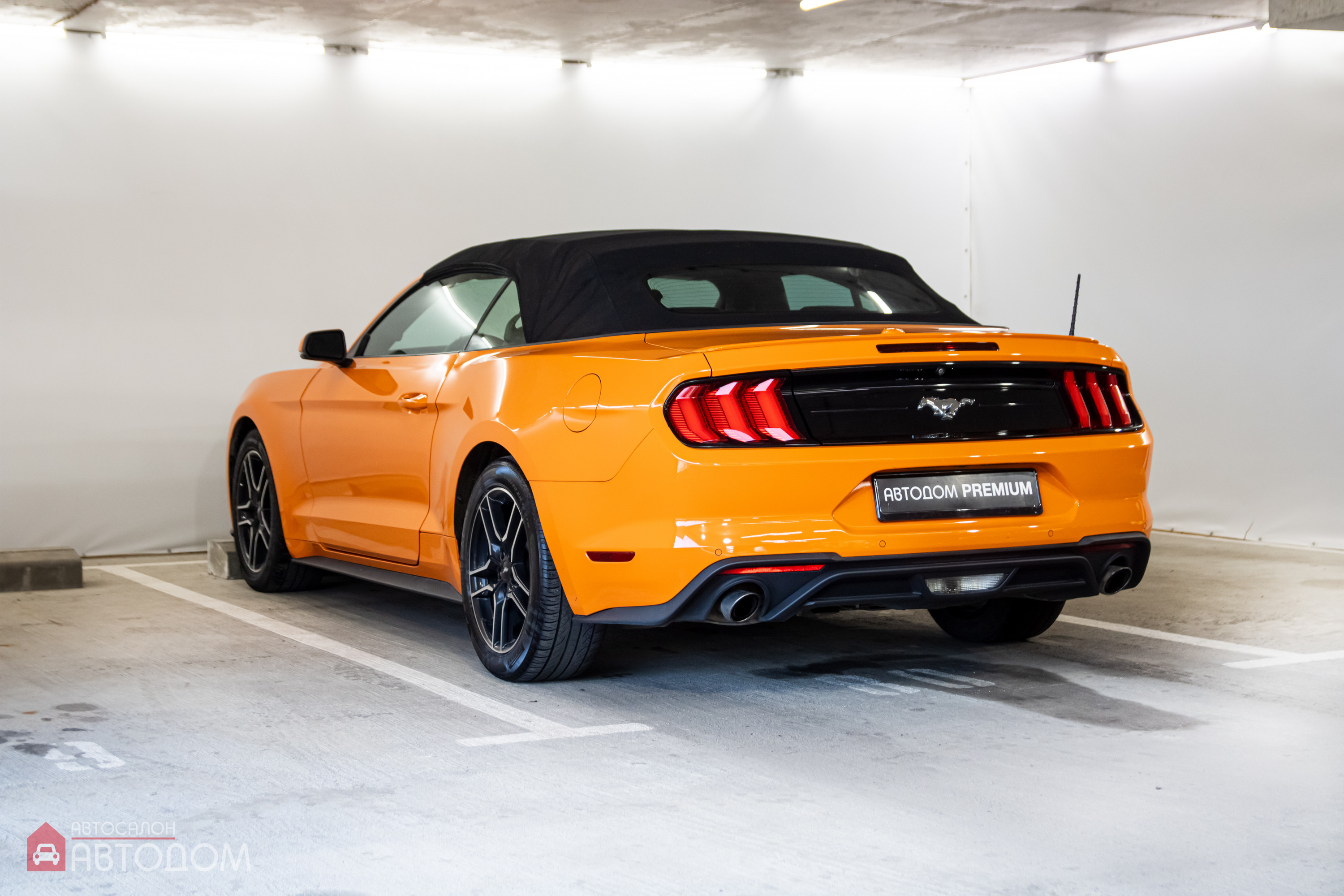  Mustang