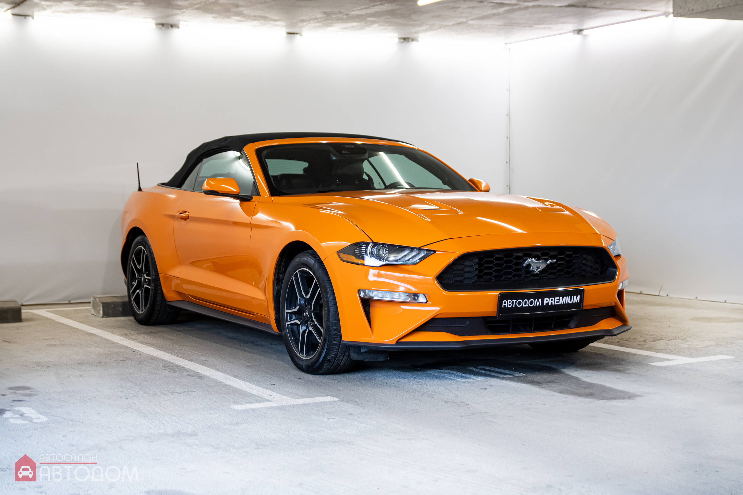  Mustang