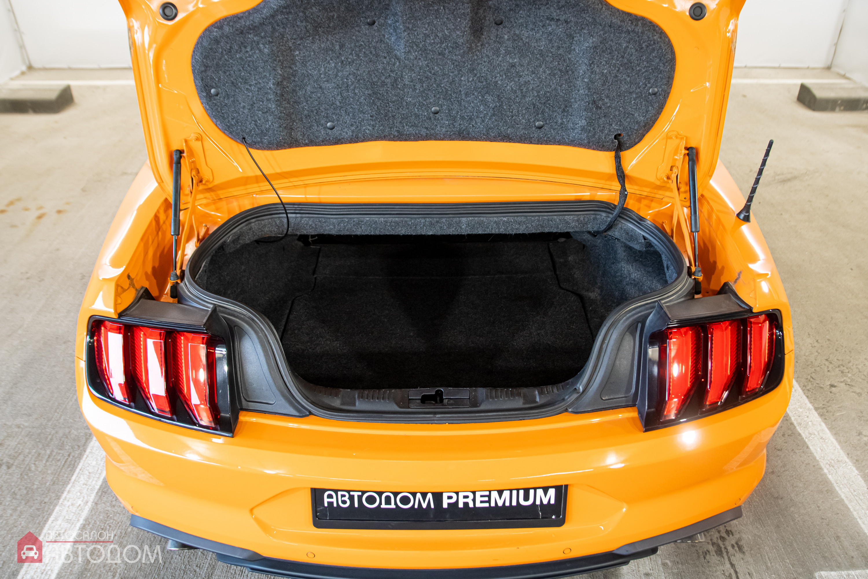  Mustang
