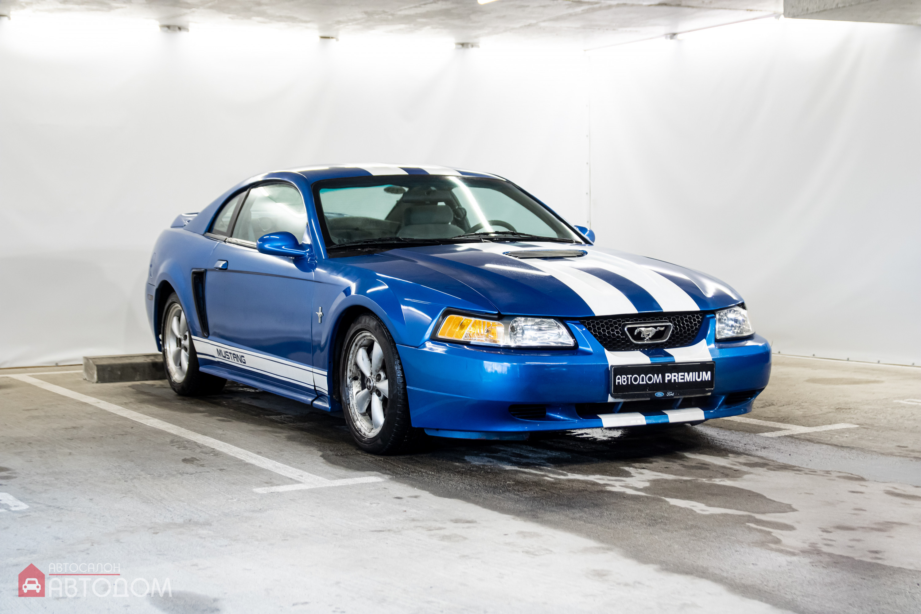  Mustang