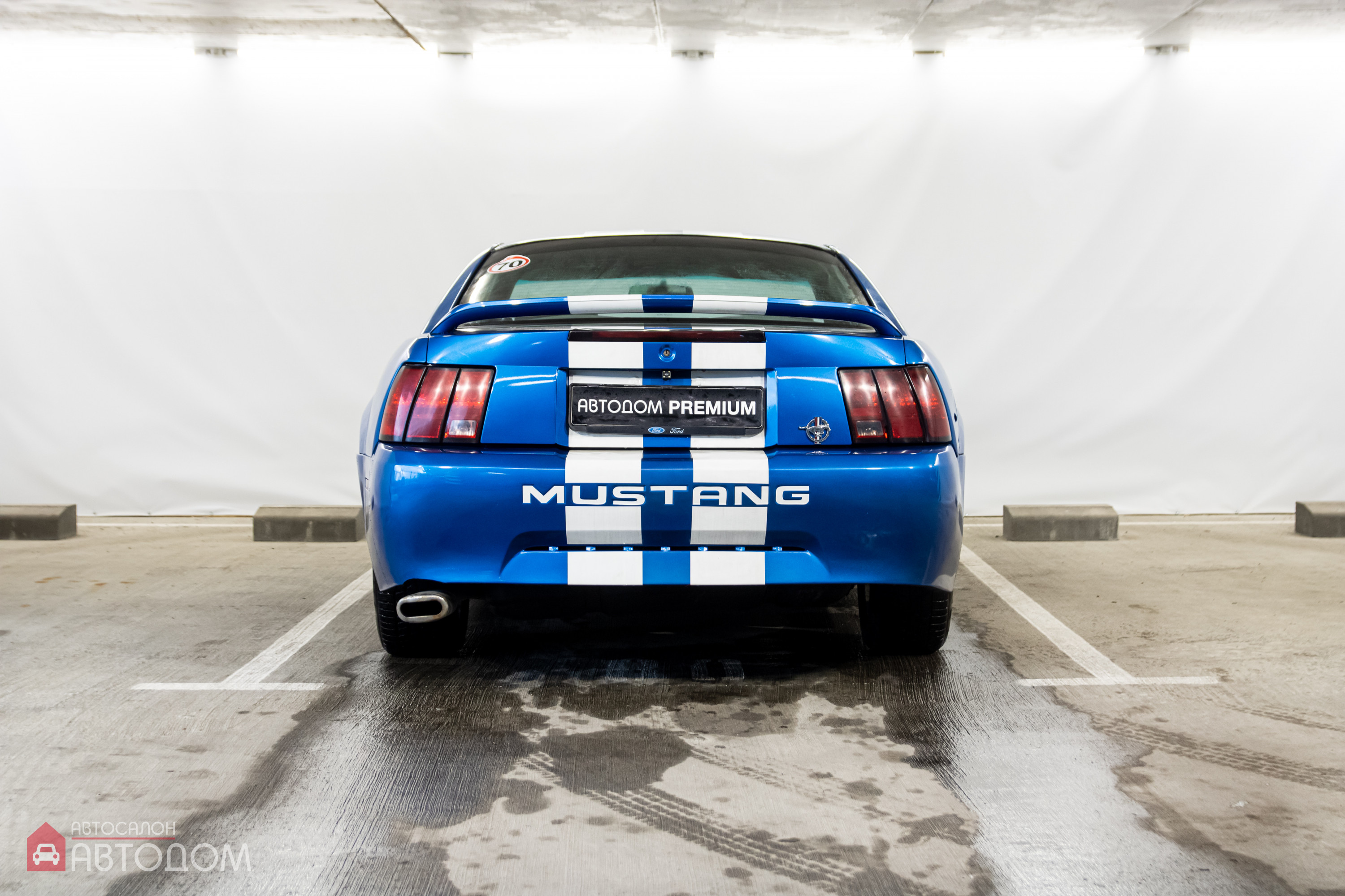  Mustang
