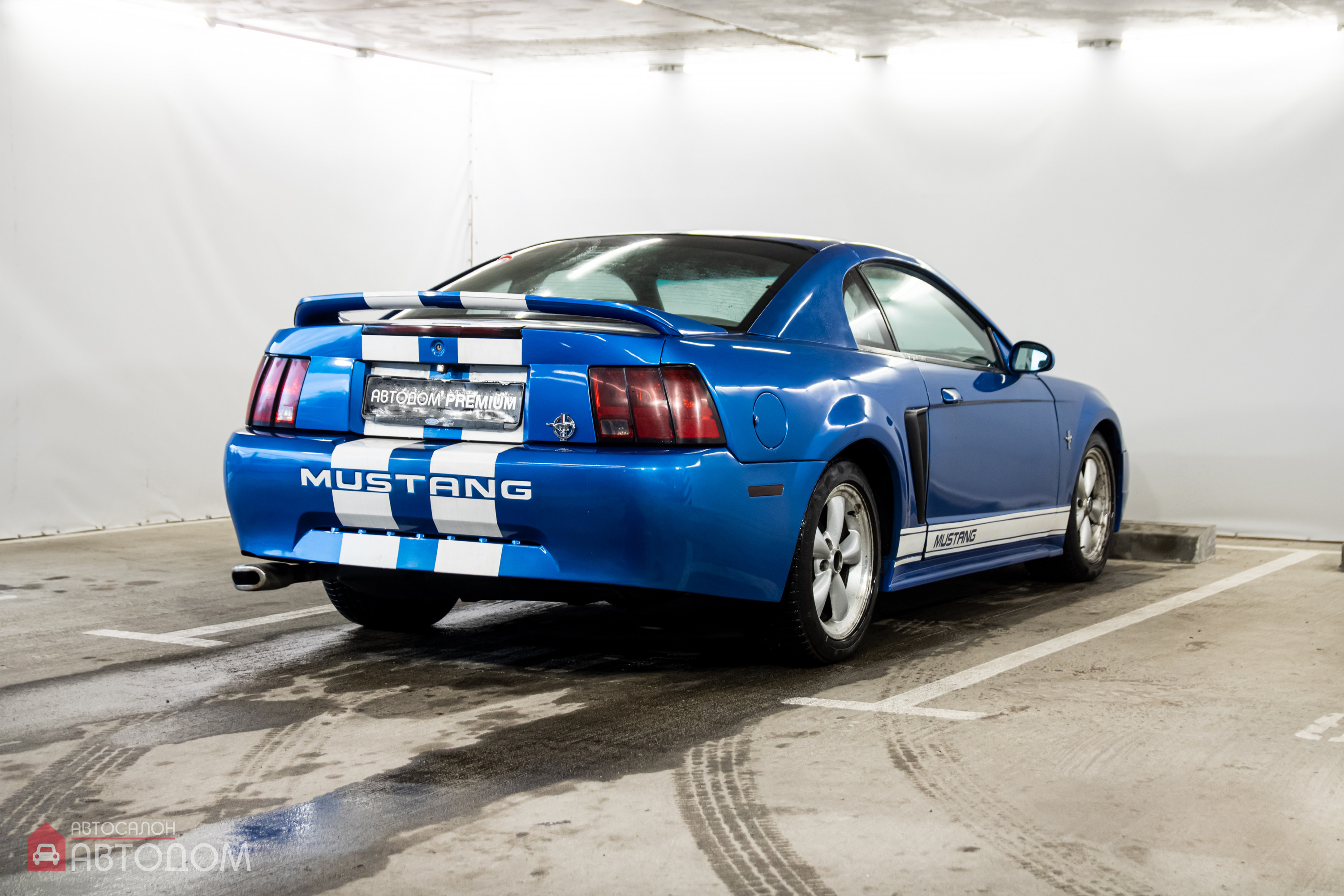  Mustang