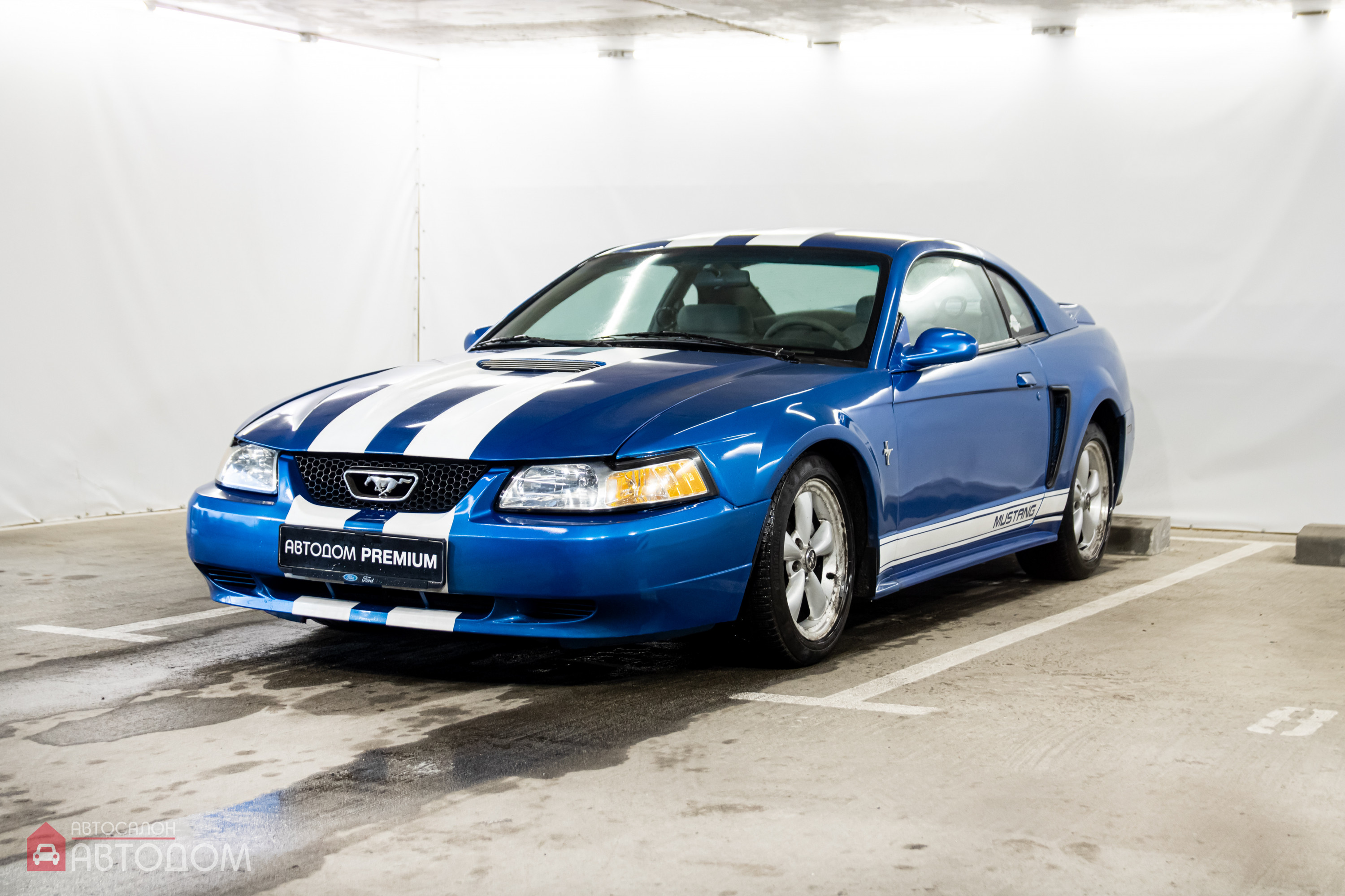  Mustang