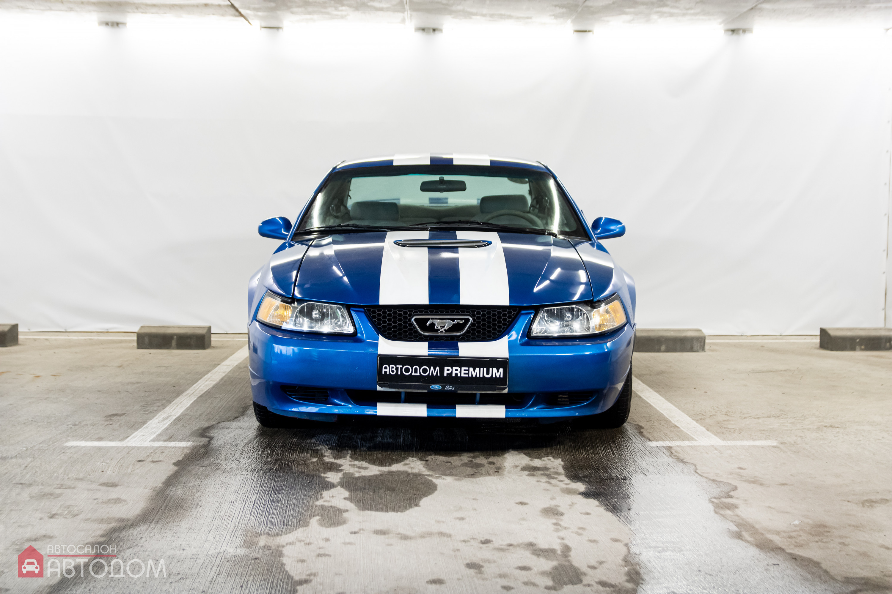  Mustang