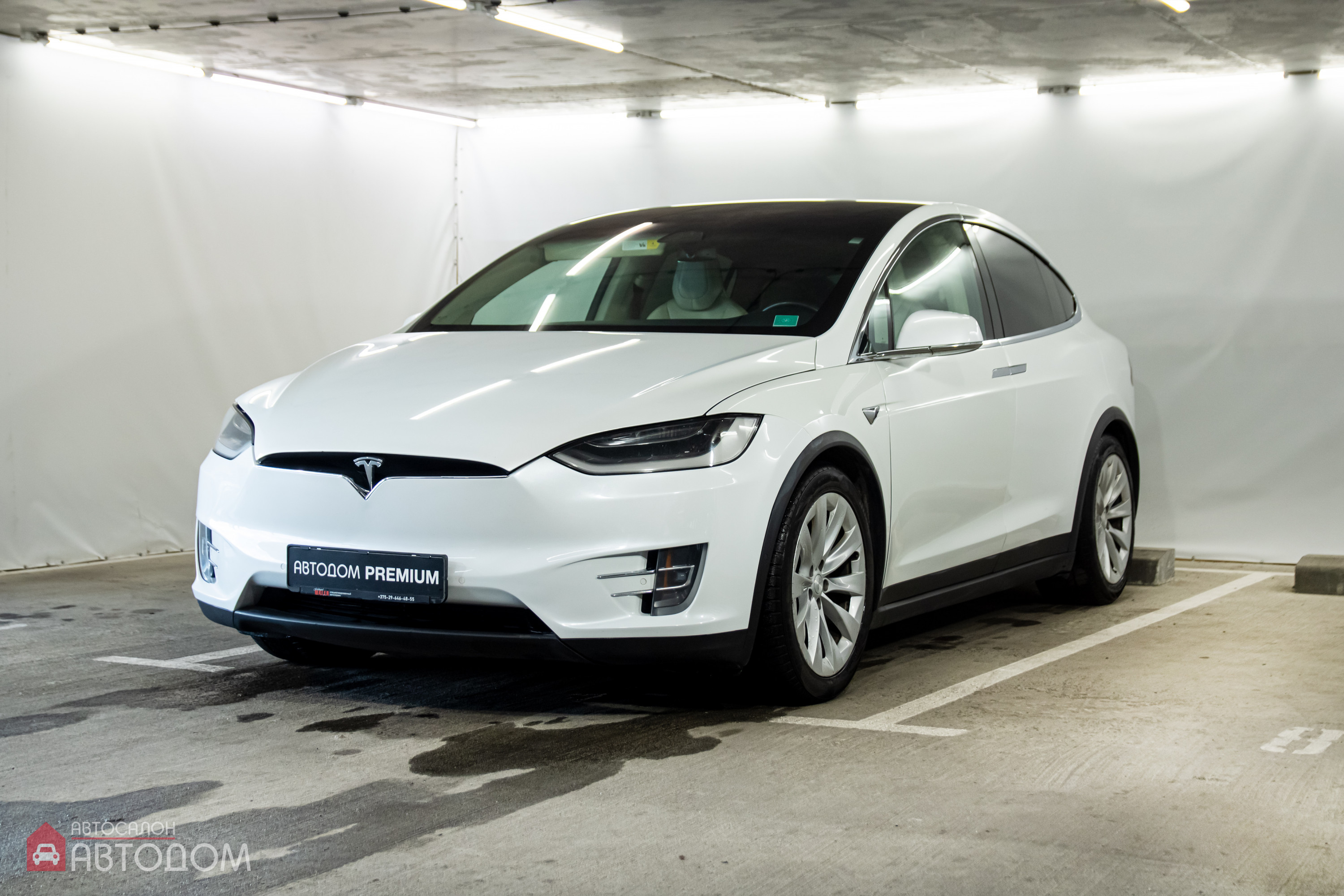  Model X