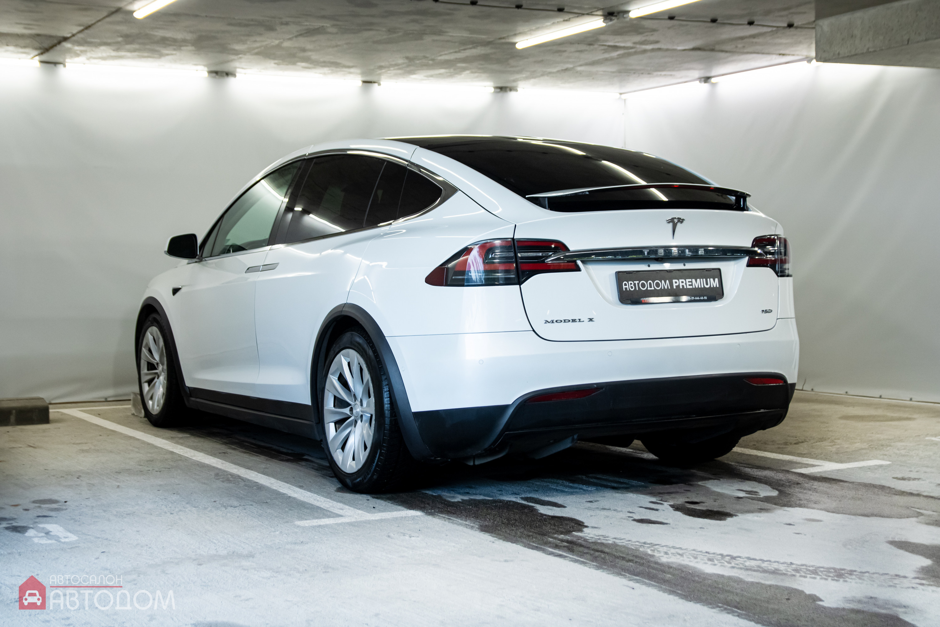  Model X