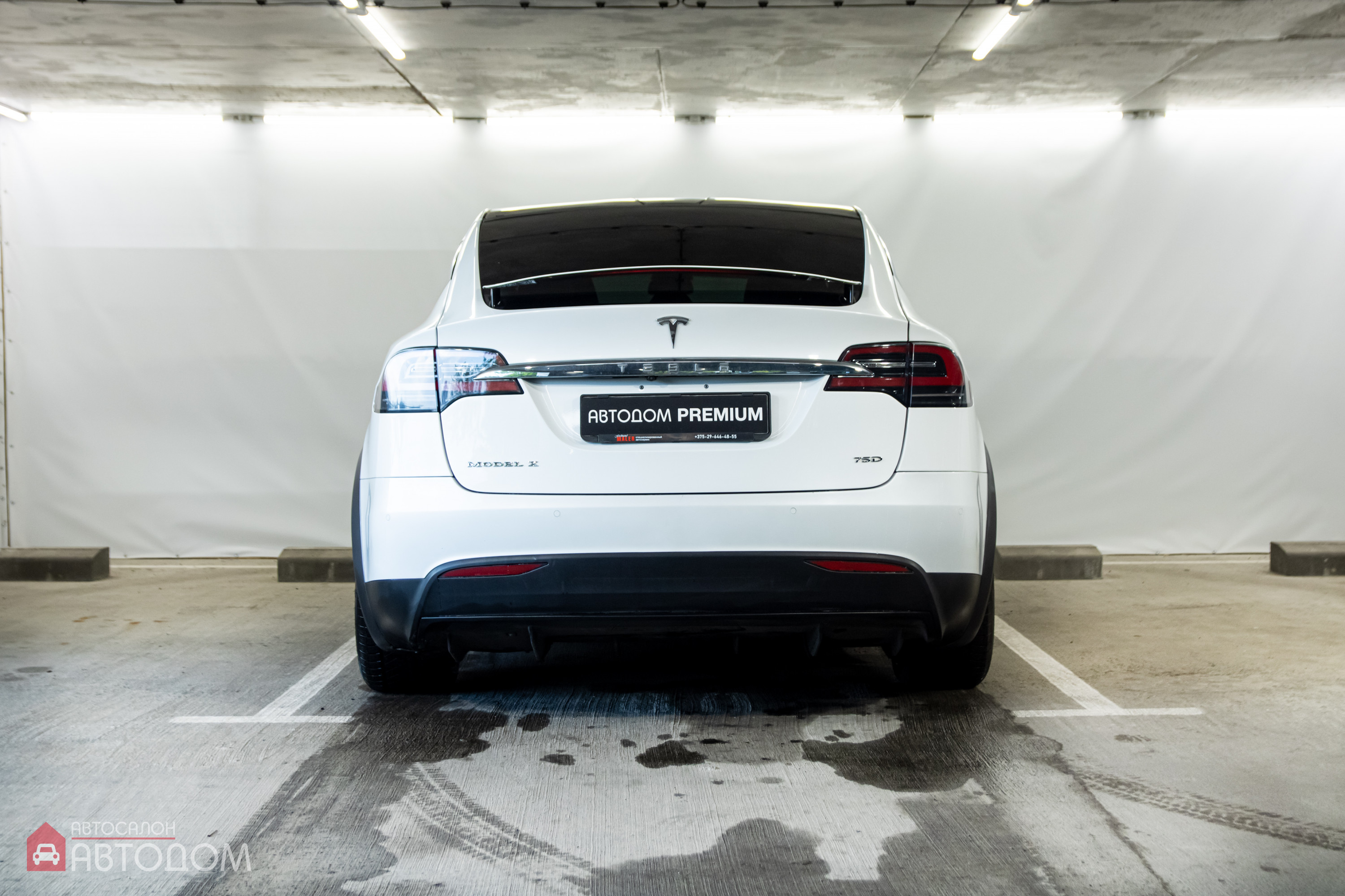  Model X