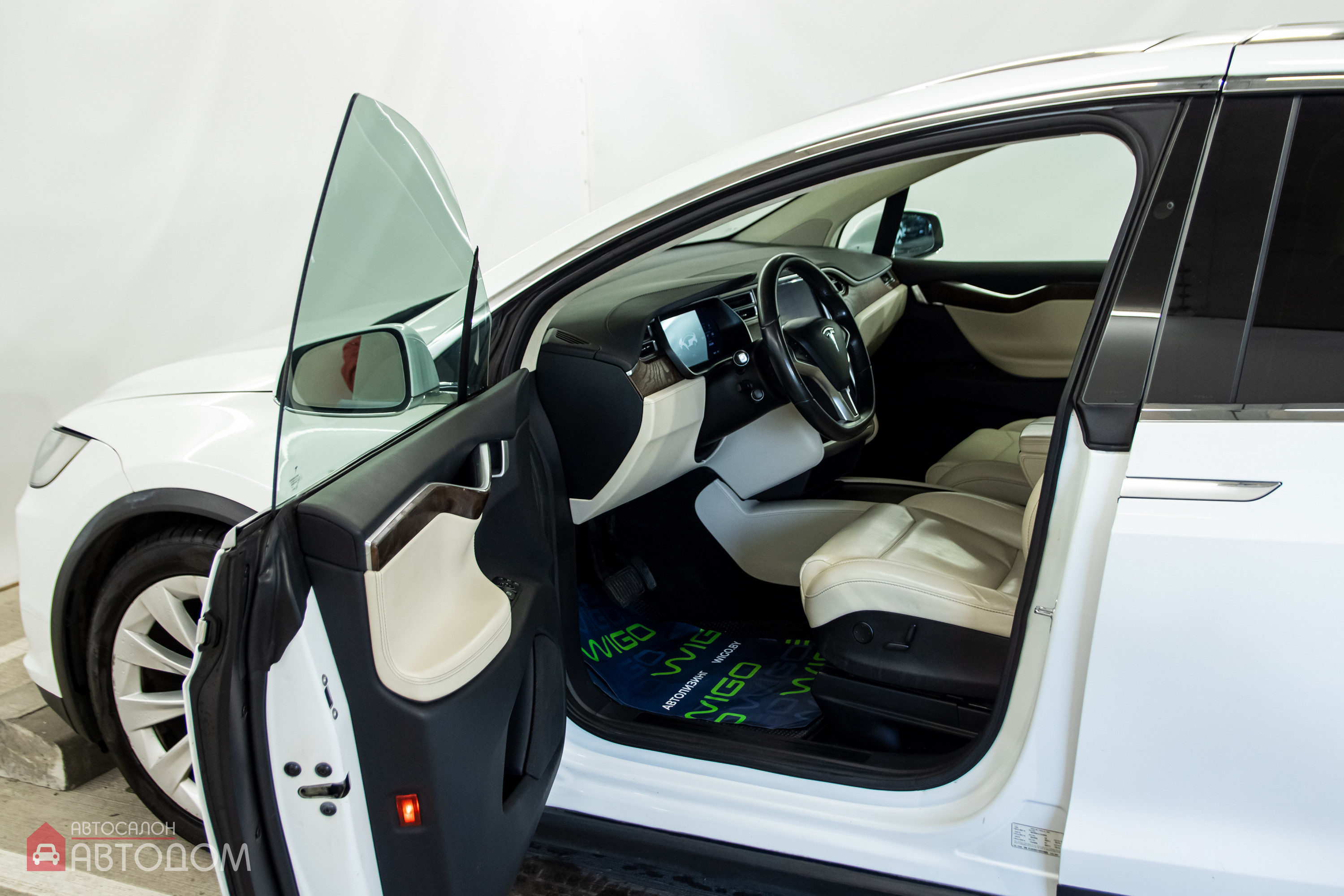  Model X