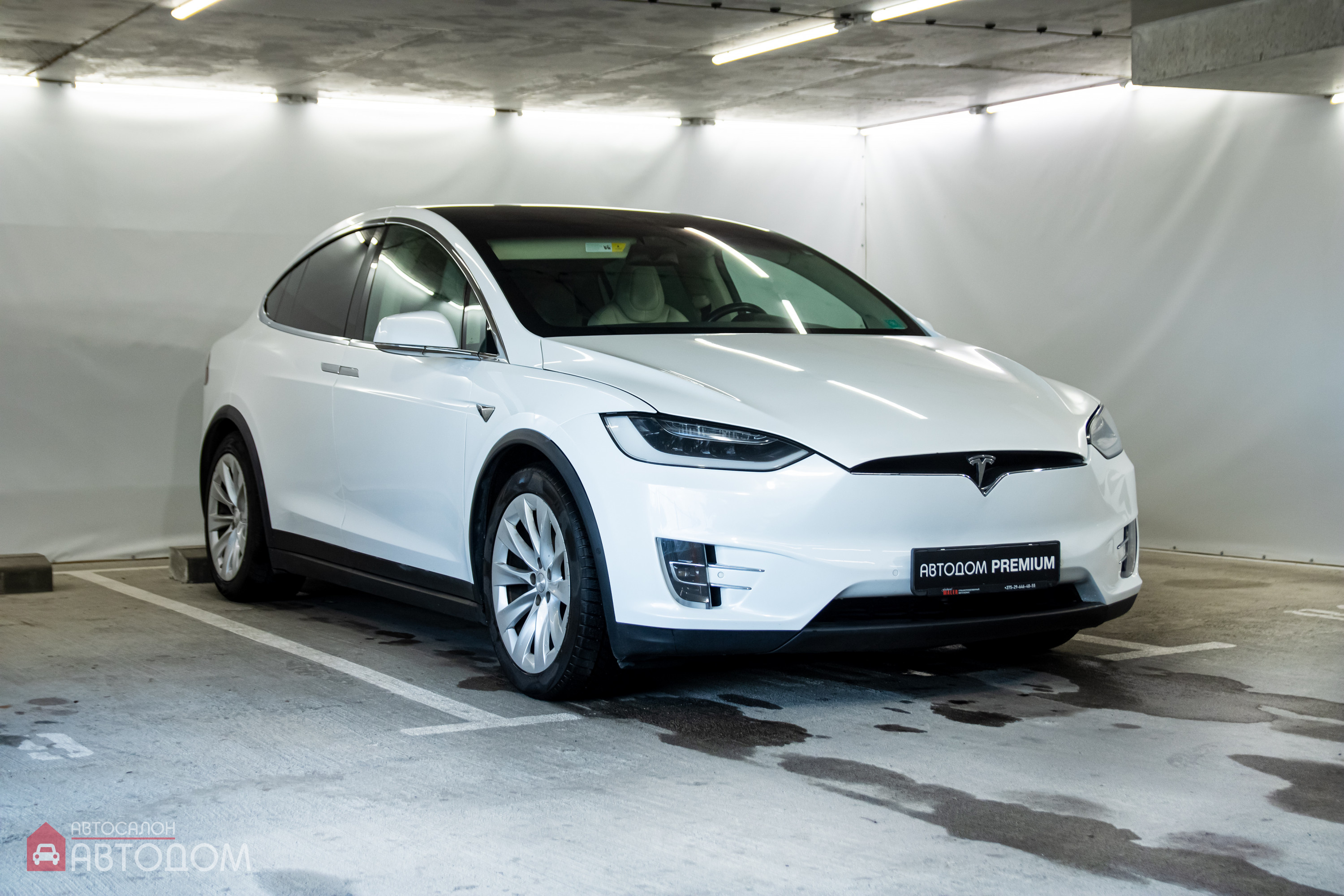  Model X
