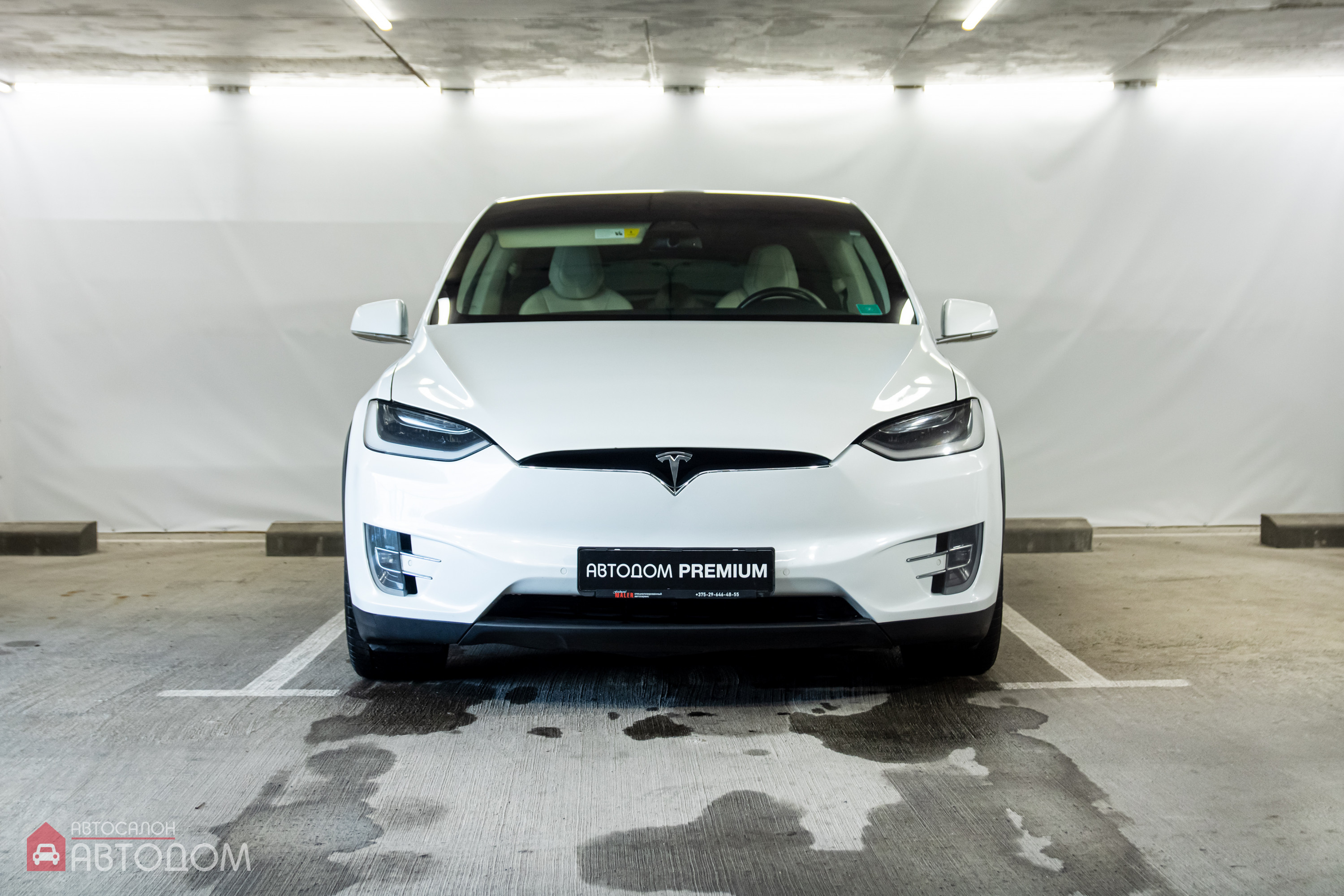  Model X