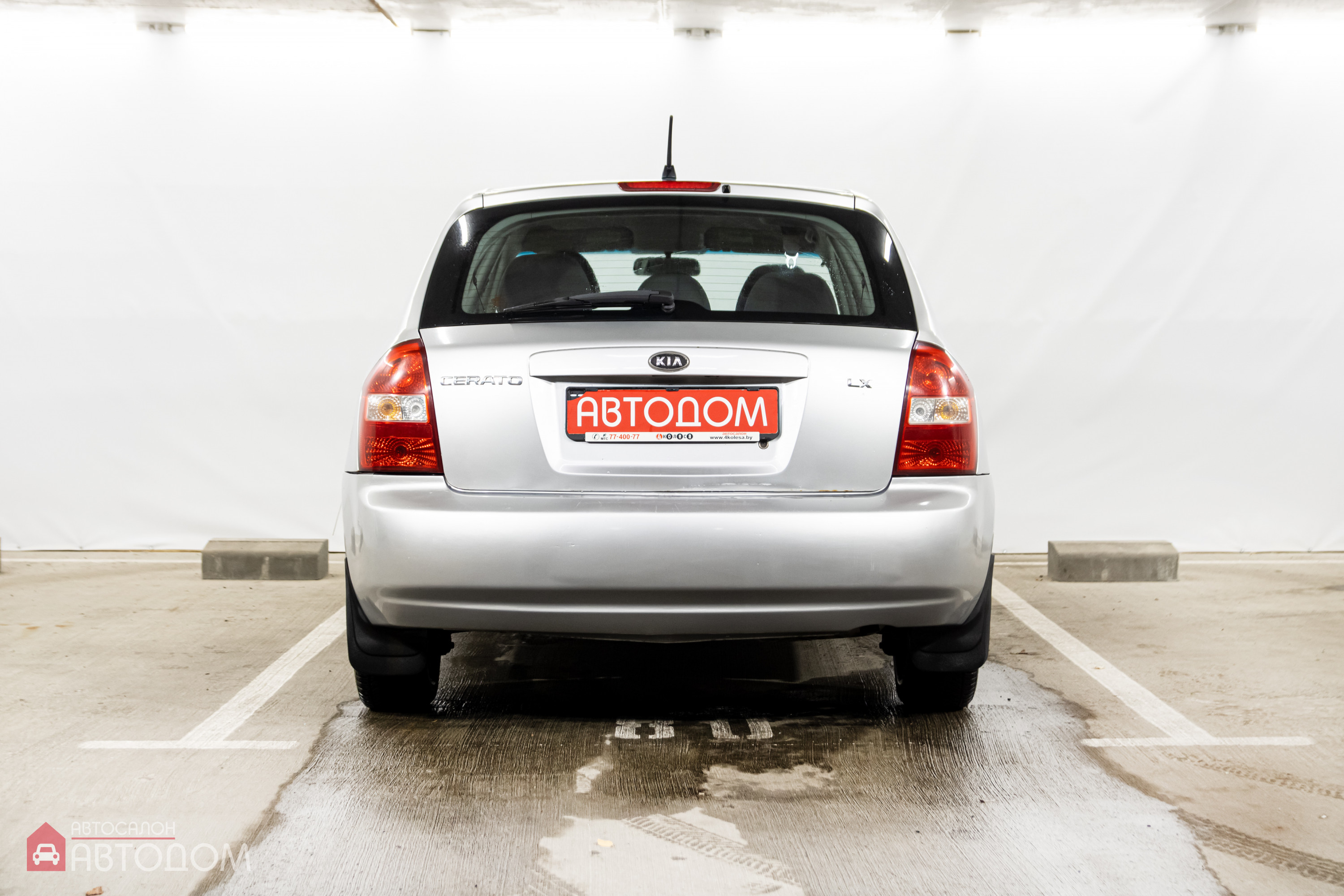  Cerato